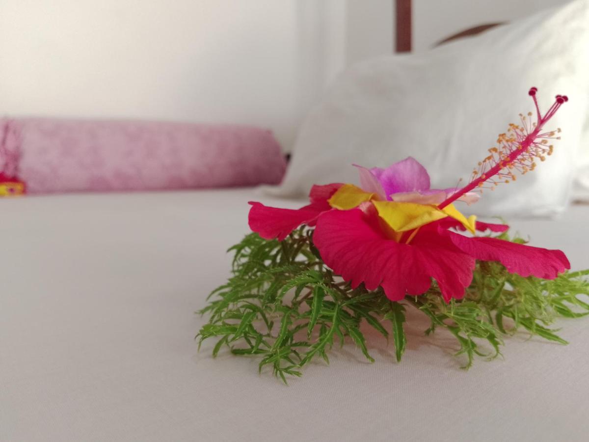 נונגווי H & H Bungalows מראה חיצוני תמונה