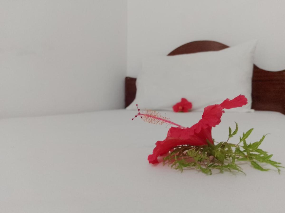 נונגווי H & H Bungalows מראה חיצוני תמונה
